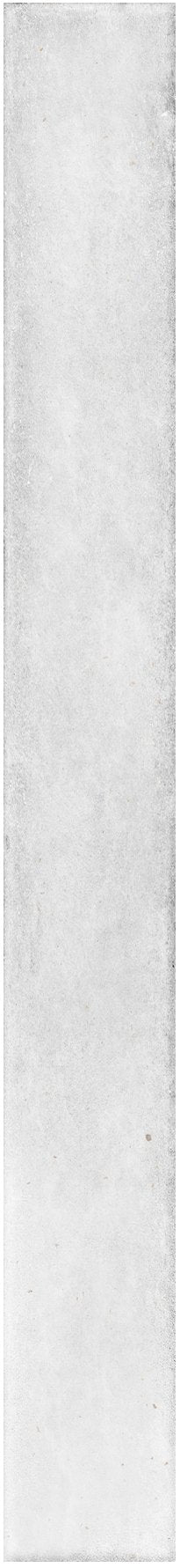 Brooklyn Shell Gloss