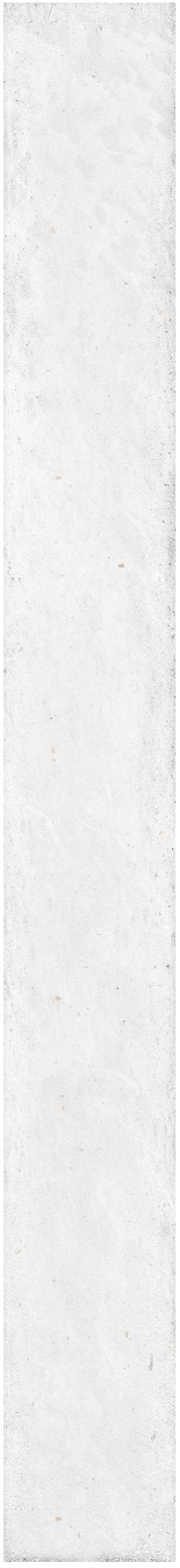 Brooklyn Shell Gloss