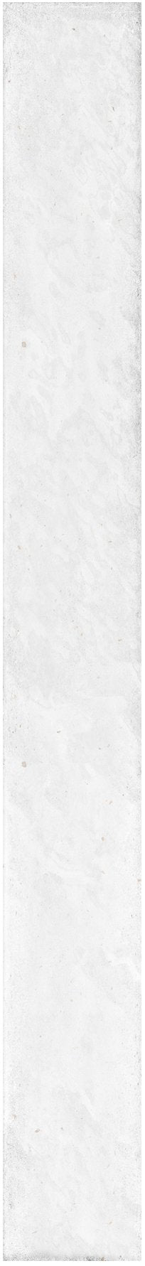 Brooklyn Shell Gloss